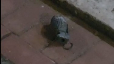 Kebakaran di Gudang Peluru Armed Bikin Granat Terlempar ke Rumah Warga, TNI AD Evakuasi