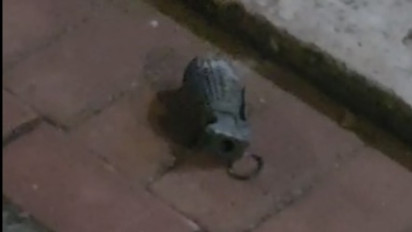 Kebakaran di Gudang Peluru Armed Bikin Granat Terlempar ke Rumah Warga, TNI AD Evakuasi