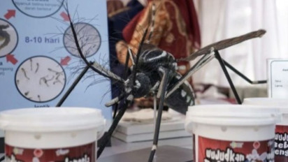 Kemenkes Sebar 5,4 Juta Telur Nyamuk Wolbachia di Bandung