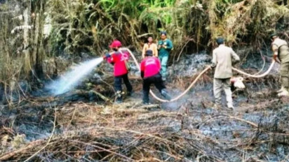 BMKG Sebut Ada 34 Titik Panas di Kaltim, Waspadalah!