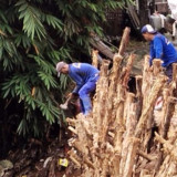 Waspada Hujan Deras, Tebing 20 Meter di Jakarta Selatan Longsor, Puluhan Warga Mengungsi