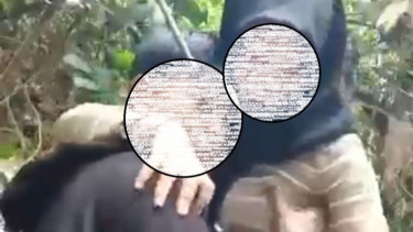 Sama-Sama Viral, Megawati Hangestri Terkenal karena Prestasi, Pevoli di Pacitan Ini Malah Bikin Heboh Wik-Wik di Hutan Saat Ramadhan