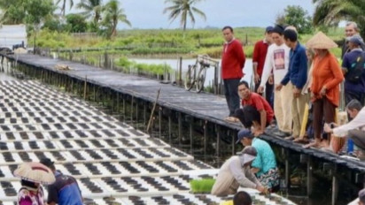 Menunggak Selama Periode 2020-2023, Presiden Jokowi Pastikan Pemerintah Akan Lunasi Utang Subsidi Pupuk