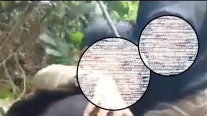 Tak Hanya Berbuat Mesum di Siang Bolong Selama Ramadhan, Dua Pelajar SMA di Pacitan Ini Sengaja Merekam Aksi Tak Senonohnya