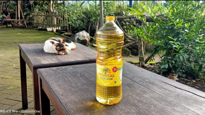 Alhamdulillah! Stok Minyak Goreng di Bangka Belitung Jelang Lebaran 2024 Ditambah, Cek Jumlah dan Harga Terbarunya