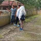 Kabar Gembira! Medan Zoo Siap Manjakan Semua Wisatawan di Momen Libur Lebaran 2024