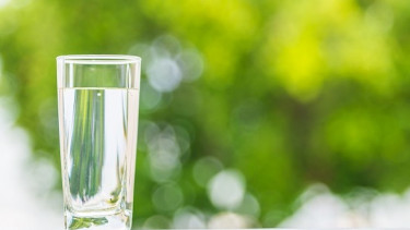 dr Zaidul Akbar Bagikan Resep Sirup Alami yang Cocok buat Lebaran: Pastinya Sehat dan Segar