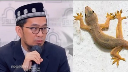Jangan Abai Jika Banyak Cicak di Rumah Anda, Menandakan Sesuatu yang Buruk, Ini Penjelasan Ustaz Adi Hidayat