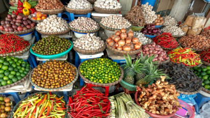 Bapanas Tegaskan Pemantauan Keamanan Pangan Segar Akan Terus Diintensifkan