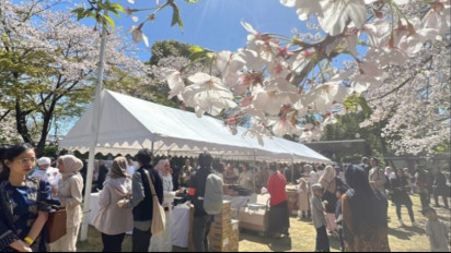 Indahnya Idul Fitri di Jepang Bertepatan Bunga Sakura Bermekaran
