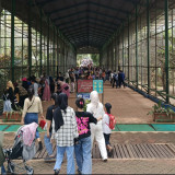 3 Wisata Anak Sekolah Lokasinya Tidak Jauh dari Jakarta