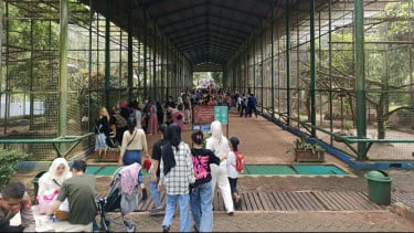 3 Wisata Anak Sekolah Lokasinya Tidak Jauh dari Jakarta