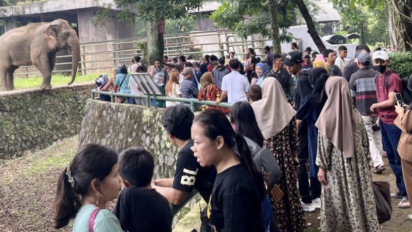 Catat Tanggalnya! Meramaikan Puncak Pengunjung Libur Lebaran 2024, Kebun Binatang Ragunan akan Gelar Acara Spesial di Pusat Primata