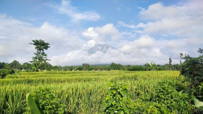 Gunung Semeru Erupsi Semburkan Abu Setinggi 1000 Meter, Warga Dihimbau Waspadai Potensi Banjir Lahar dan Erupsi Susulan