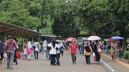 HP Pengunjung Pernah Hancur Dilempar Primata, Humas Ragunan Imbau Wisatawan Tak Dekati Kandang Satwa