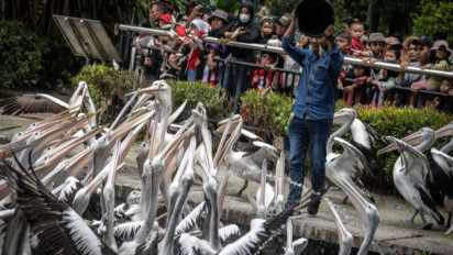 Bukan Ancol atau Taman Mini. Ragunan Jadi Tempat Wisata Paling Ramai di Jakarta, Dikunjungi 112 Ribu  Orang Dalam Sehari