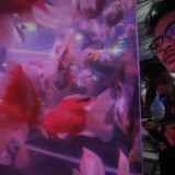 Berkah Lebaran 2024, Pedagang Ikan Hias di Jatinegara Banjir Orderan hingga Omzet Jutaan Rupiah dalam Semalam