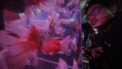 Berkah Lebaran 2024, Pedagang Ikan Hias di Jatinegara Banjir Orderan hingga Omzet Jutaan Rupiah dalam Semalam