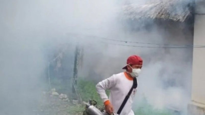 Kasus DBD Meningkat, Pemkot Waspada Demam Berdarah Dengue