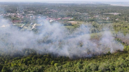 Ada Potensi Kebakaran Hutan, BMKG Catat 167 Titik Panas Tersebar di Kaltim