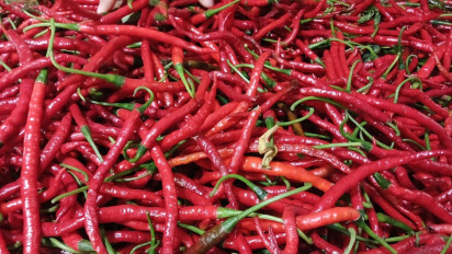 Harga Pangan Jelang Pergantian Pekan, Bawang dan Cabai Kompak Turun