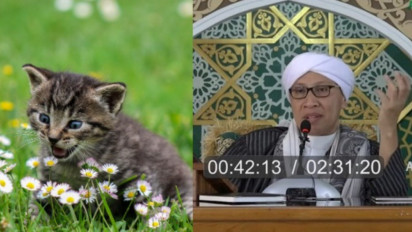 Menabrak Kucing saat Berkendara, Pertanda Bakal Mendapatkan Sial? Ternyata Begini Penjelasan Buya Yahya, Kucing Itu...