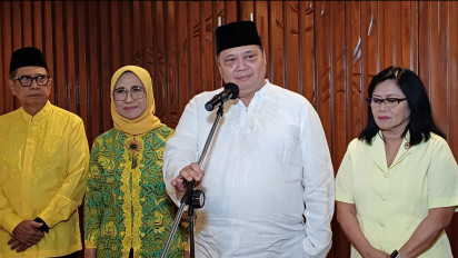 Megawati Ajukan Diri Sebagai Amicus Curiae, Ini Respon Airlangga Hartarto