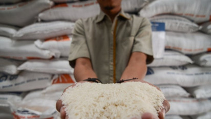 Ada Stok 3,25 Juta Ton Beras, Bulog Gandeng BRIN untuk Siapkan Teknologi Pemeliharaan Bebas Kutu