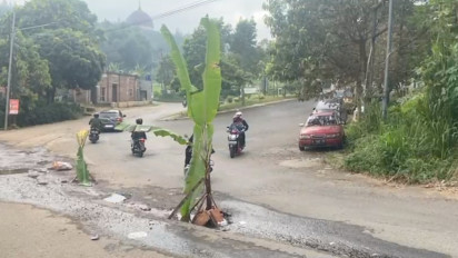 Warga Tanam Pohon Pisang di Tengah Jalan Komplek Pemkab Bandung Barat, Pemerintah: Menurut Kami Tidak Terlalu Rusak