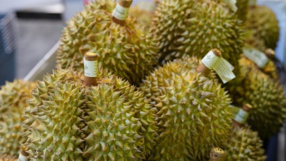 Provinsi Ini Sangat Berpotensial Lakukan Ekspor Durian ke China