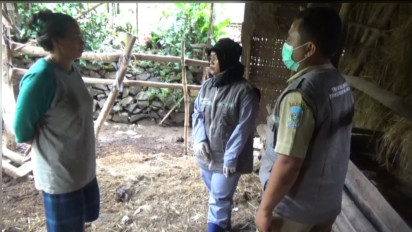 Terungkap! Penyebab Belasan Sapi di Nganjuk Jawa Timur Mendadak Mati Misterius, Oh Ternyata