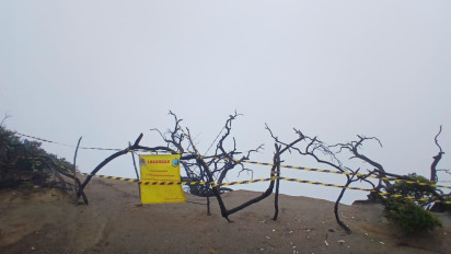 Ditutup, Spot Selfie di Hutan Mati Kawah Ijen Berbahaya untuk Wisatawan