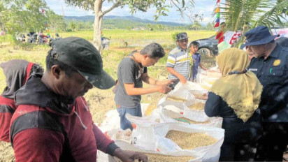 Harga Beras Naik Tinggi, HKTI Minta Harga Beli Gabah (HPP) di Tingkat Petani Naik Jadi Rp6.757 per Kg