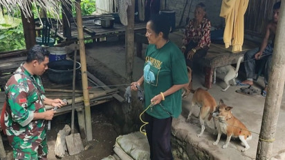 Perangi Rabies, Ribuan Anjing di Pulau Palue Divaksin