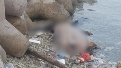 5 Fakta Pembunuhan Wanita Open BO yang Ditemukan di Pulau Pari, Ada Barang Bukti Lintah Papua saat Olah TKP hingga Libatkan Anak Bawah Umur