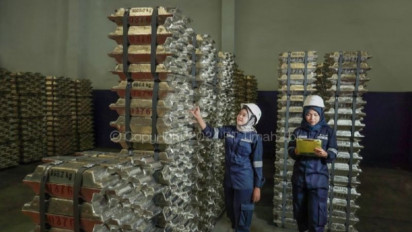 TPDI: Ujung Kasus Timah hanya Ingin Ambil Alih Smelter