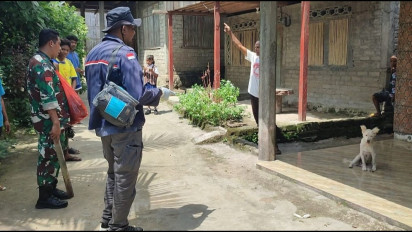 Diduga HPR, Seekor Anjing di Eliminasi Gunakan Kayu