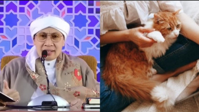 Lucu dan Menggemaskan, Apakah Menggendong Kucing Bisa Memicu Najis Berpindah? Buya Yahya Menjawab Ini ...