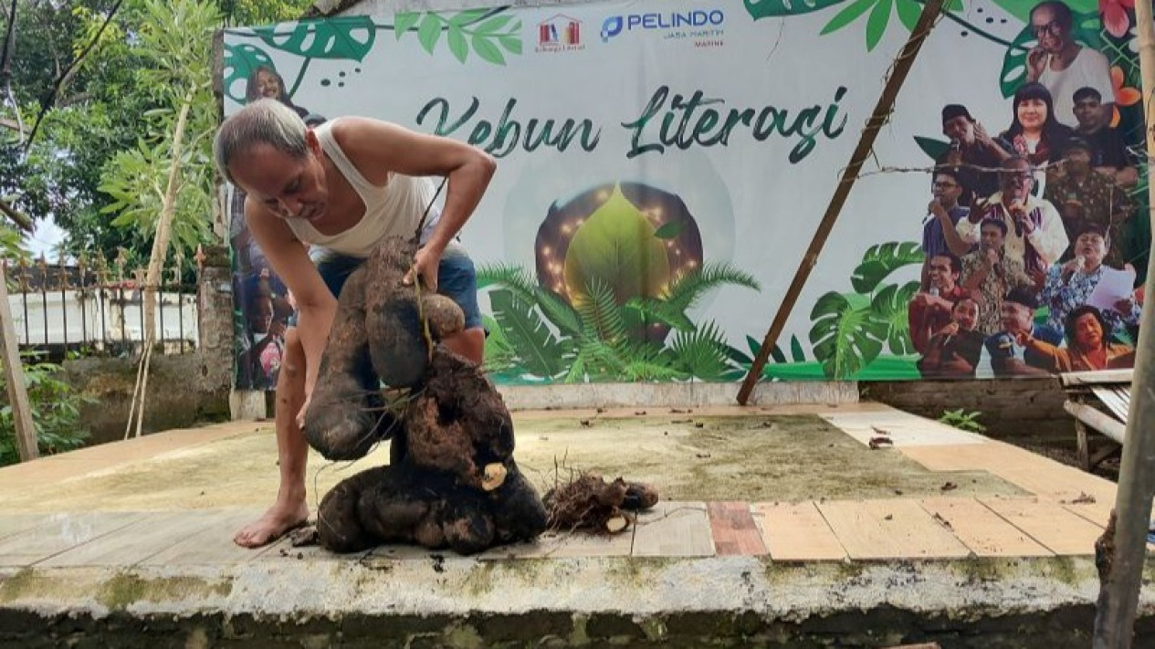 Sambil Baca Al Fatihah dan Sholawat, Kisah Pria di Ponorogo Habiskan Waktu Berkebun Sangat Menginspirasi
            - galeri foto