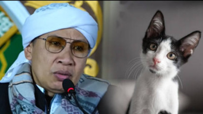 Saat Berkendara Tak Sengaja Nabrak Kucing, Apakah Akan dapat Sial atau Musibah? Ternyata Buya Yahya Sindir Begini…