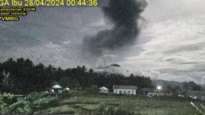 Erupsi Gunung Ibu di Halmahera Barat, Sebanyak 16 Desa Terdampak Hujan Abu
