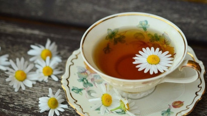 Ampuh Mengatasi Penyakit Maag dan GERD, Minum Teh Herbal dari Tanaman Ini Kata dr Fery Juliawan, Ternyata Teh yang Dimaksud...