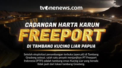 INFOGRAFIS: Tambang Kucing Liar, Cadangan Emas Jangka Panjang PT Freeport Indonesia di Papua