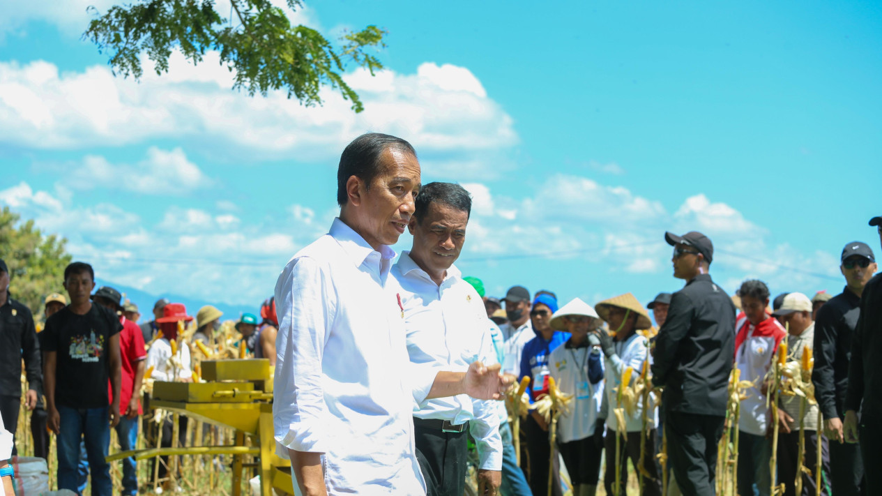 Panen Jagung bersama Mentan di Sumbawa, Jokowi Tekankan Keseimbangan Harga
            - galeri foto