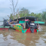 Warga Musi Banyuasin Hilang Diterkam Buaya saat Mencari Ikan
