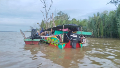 Warga Musi Banyuasin Hilang Diterkam Buaya saat Mencari Ikan