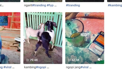Akun TikTok Diduga Milik Tarsum Pelaku Mutilasi Istri di Ciamis Viral di Kalangan Netizen, Sering Posting Video Kambing