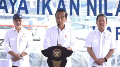 Potensi Nila Salin di Pesisir Pantura Jawa Bisa Capai Rp230 Triliun Setahun, Jokowi akan Bisiki Pemerintahan Prabowo-Gibran Begini