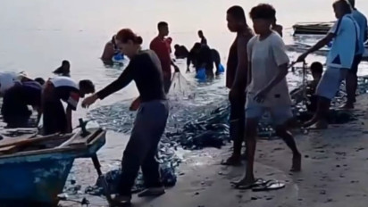 Ribuan ikan kembung naik ke bibir pantai, Kadis Perikanan: Akibat Perubahan Arus Laut