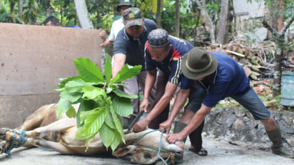 Tak Lama Lagi Idul Adha, Bolehkah Berkurban untuk Orang Tua yang Sudah Meninggal? Ini Penjelasan Buya Yahya
